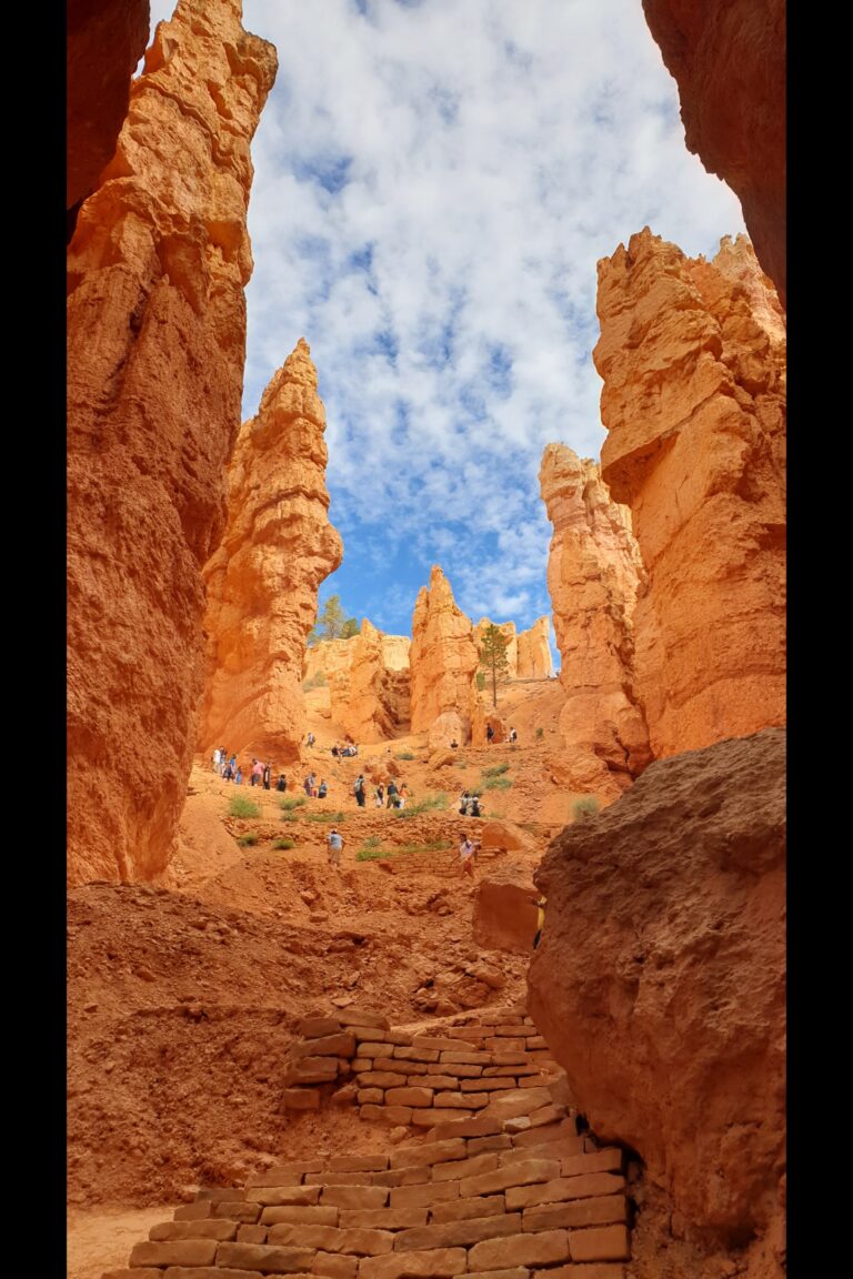 a_bryce_20230812_110831