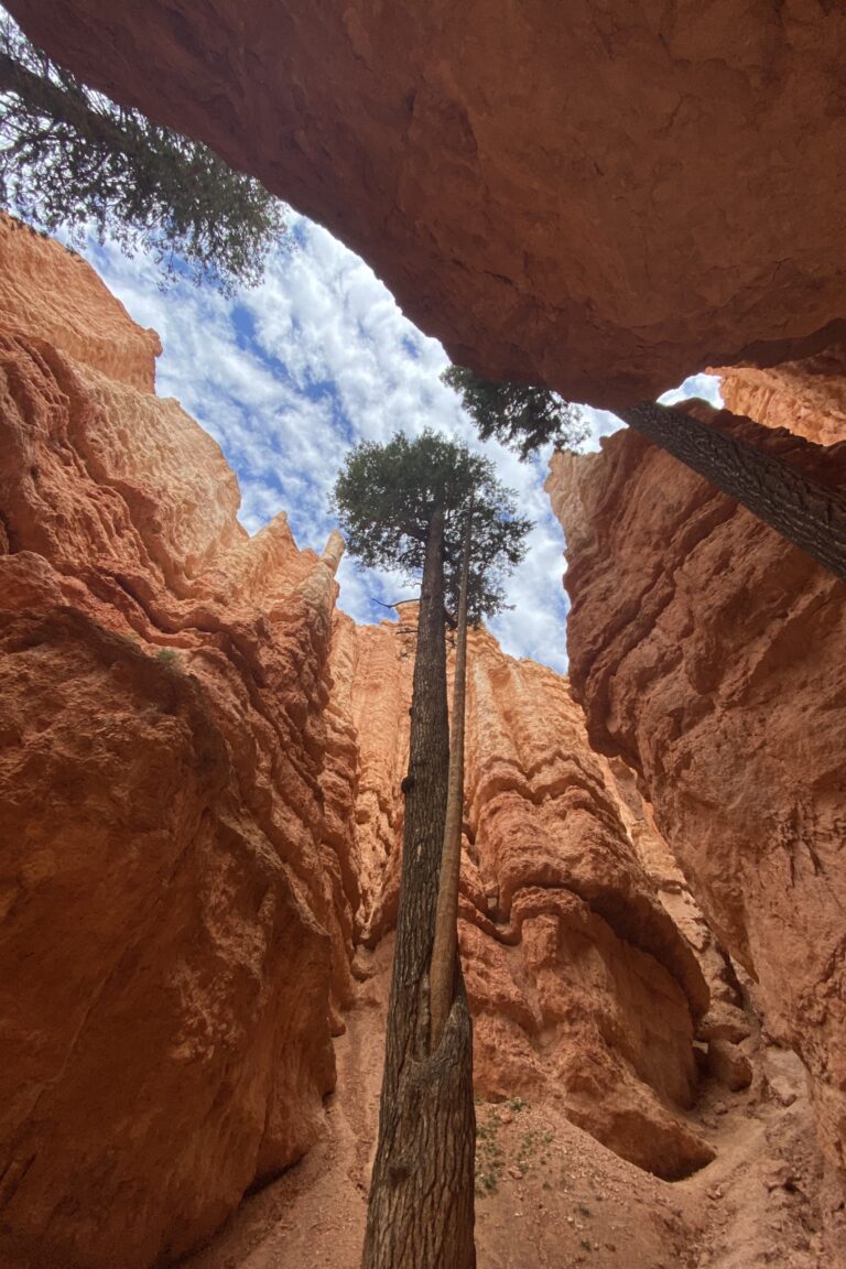 a_bryce_IMG_5202