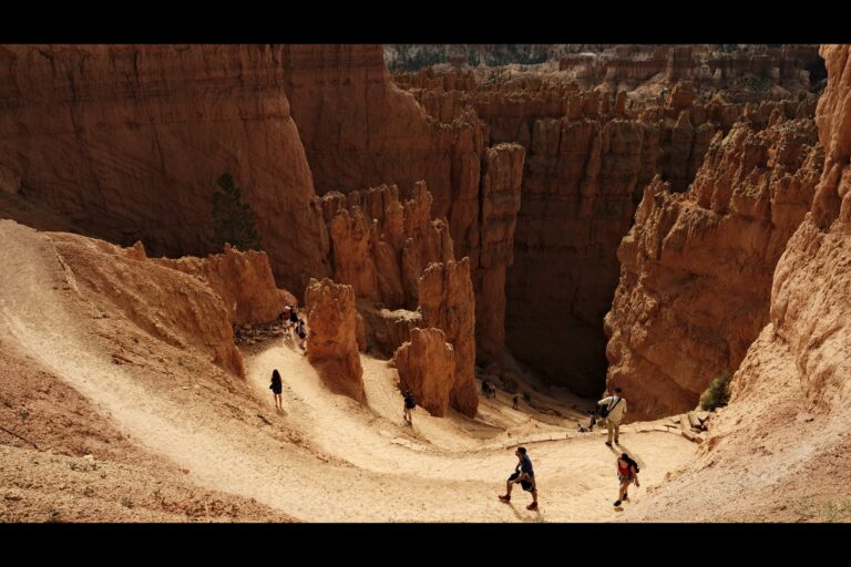 a_bryce__DSF4509