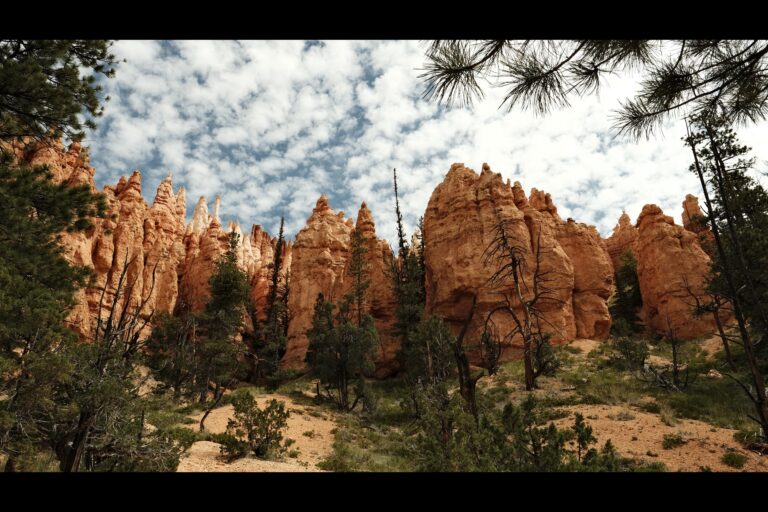 a_bryce__DSF4519