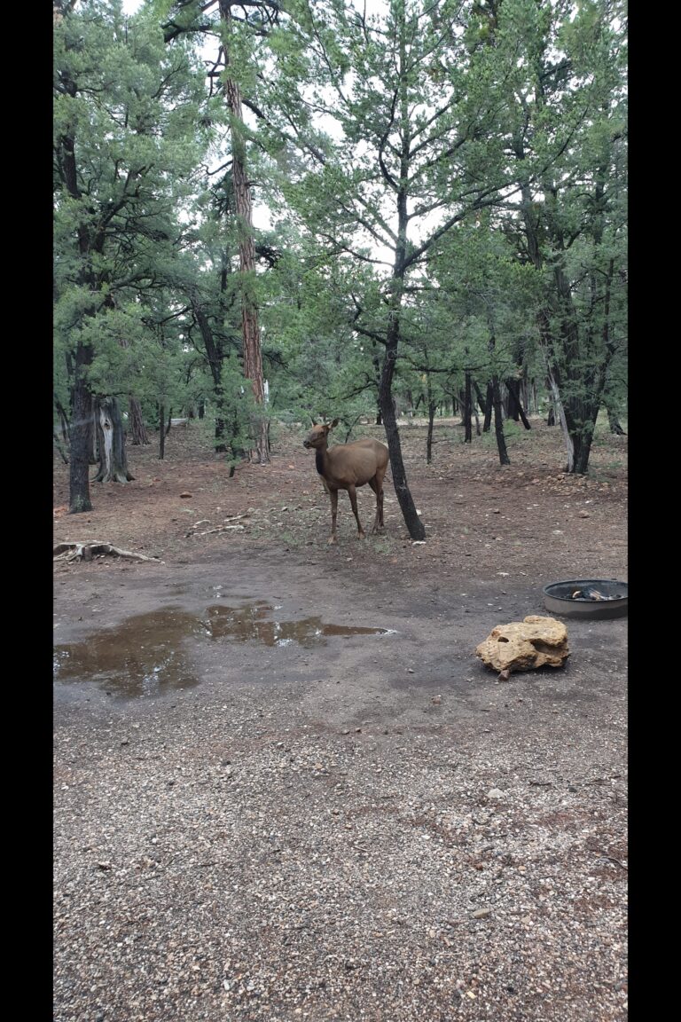 a_grandcanyon_20230821_162829