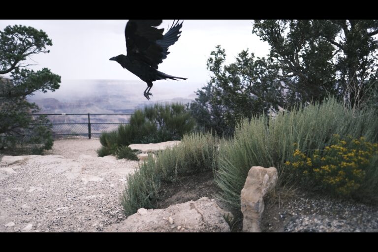 a_grandcanyon__DSF4618