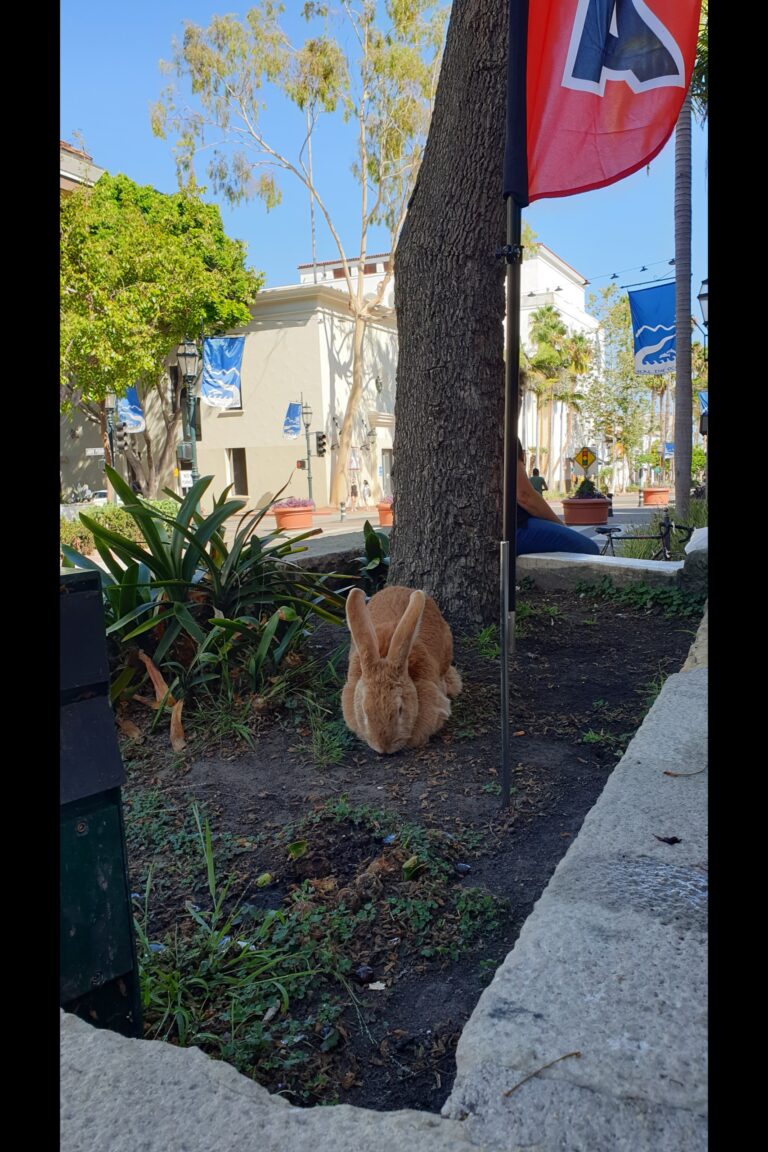 b_Santabarbara_20230827_154735