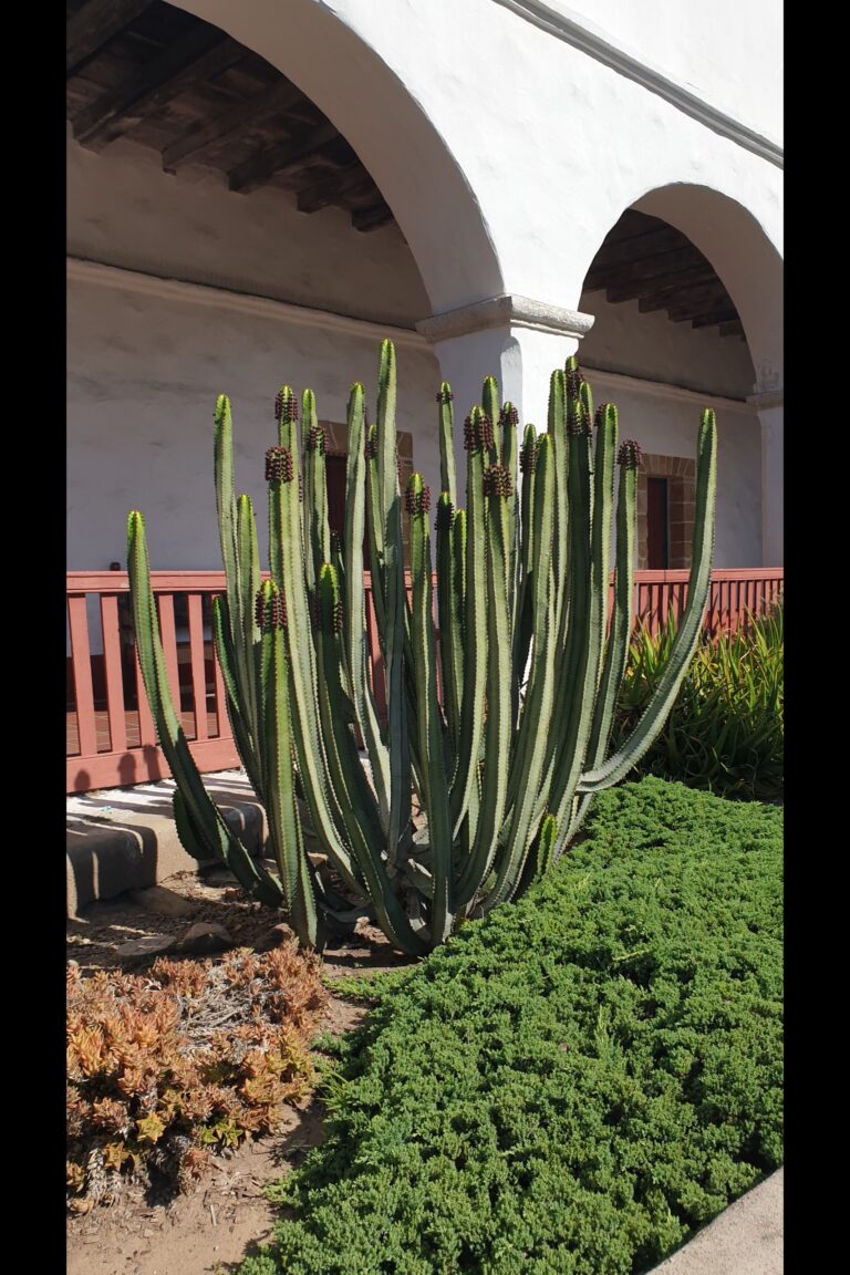 b_Santabarbara_20230828_095451