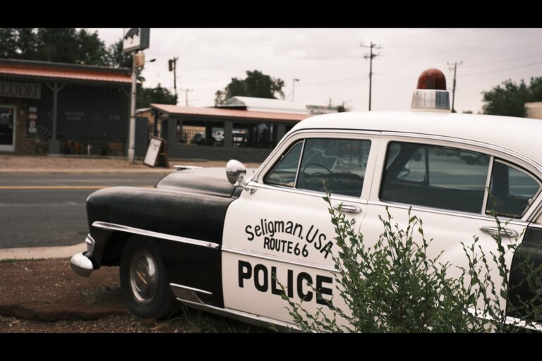 b_seligman__DSF4652
