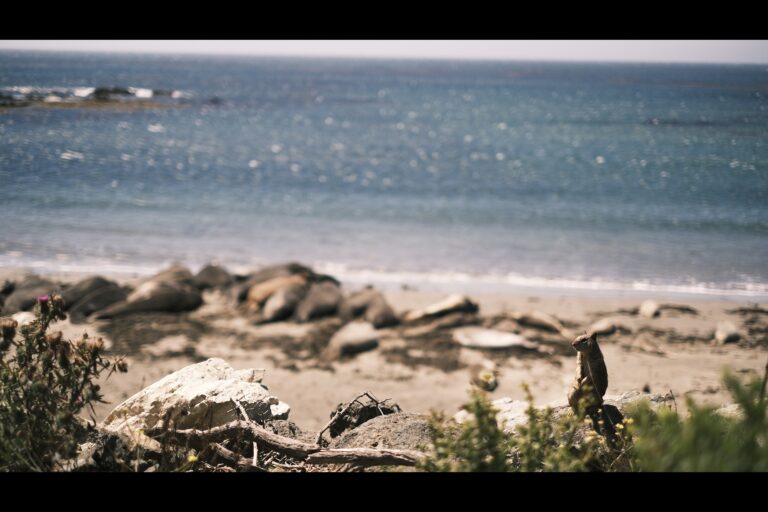 c_Highway1__DSF4928