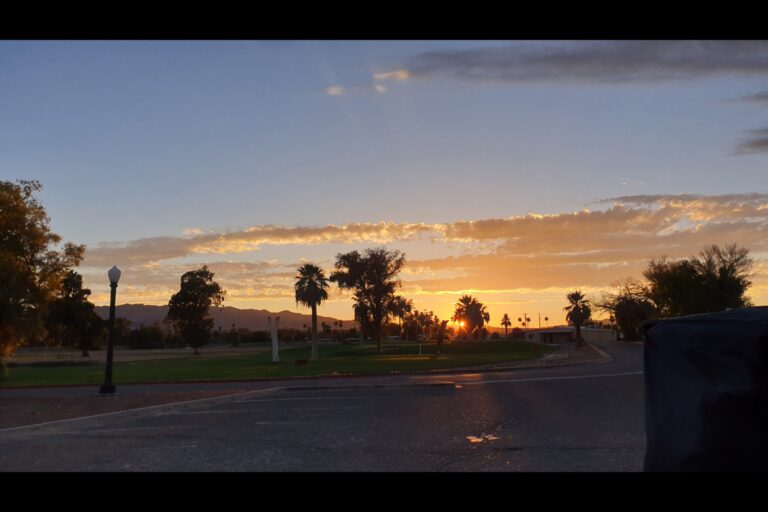 c_joshuatree_20230822_190800