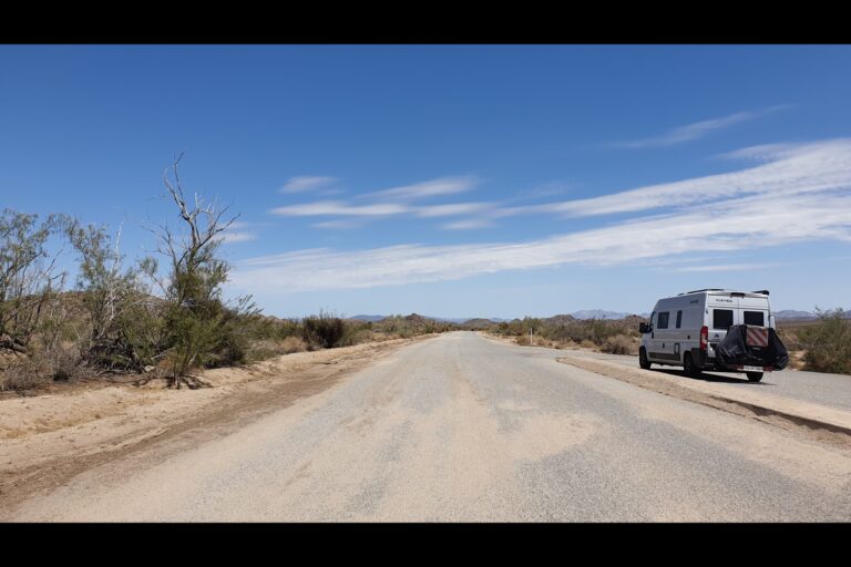 c_joshuatree_20230823_122229