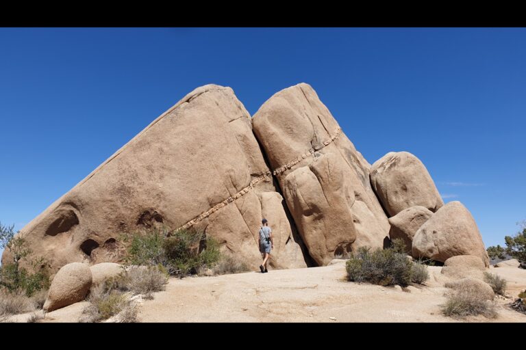 c_joshuatree_20230823_141808