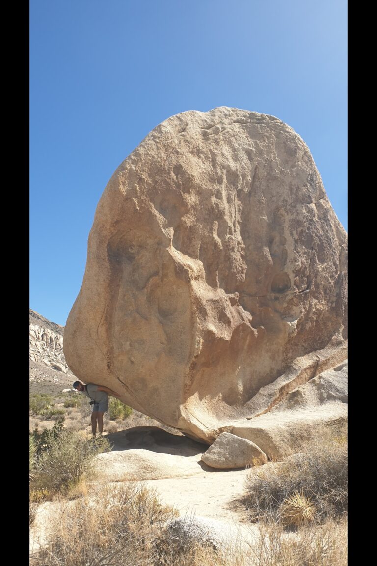 c_joshuatree_20230823_150127
