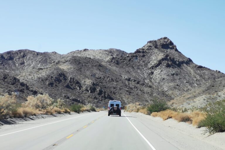 c_joshuatree_IMG-20230823-WA0064
