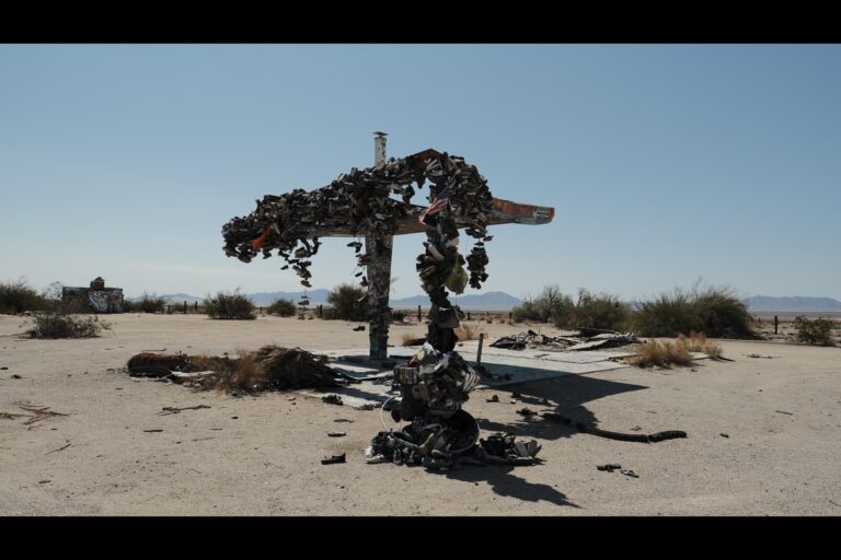 c_joshuatree__DSF4679