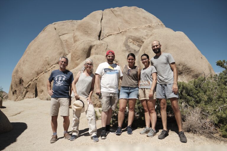 c_joshuatree__DSF4723