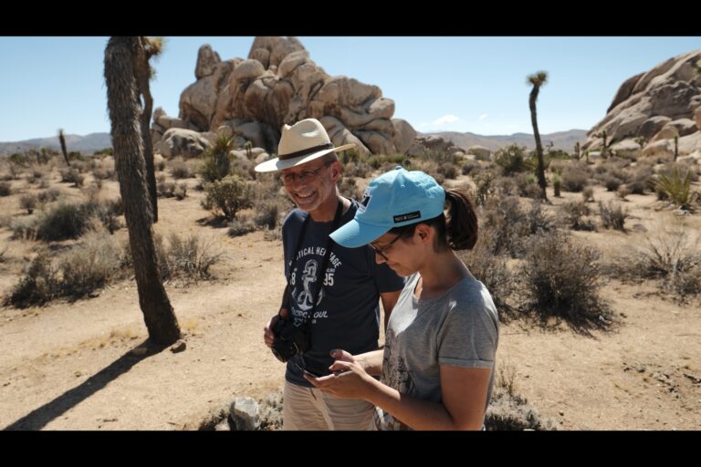 c_joshuatree__DSF4740