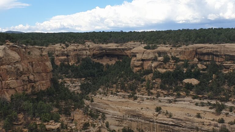 c_mesaverde_20230801_171053