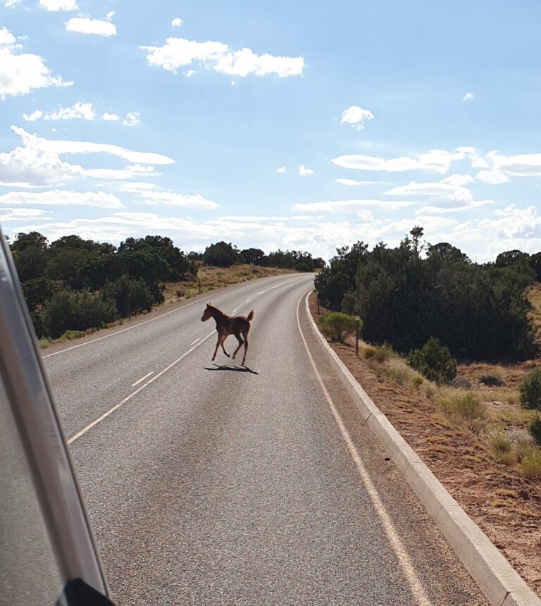 d_canyondechelly_20230803_165655