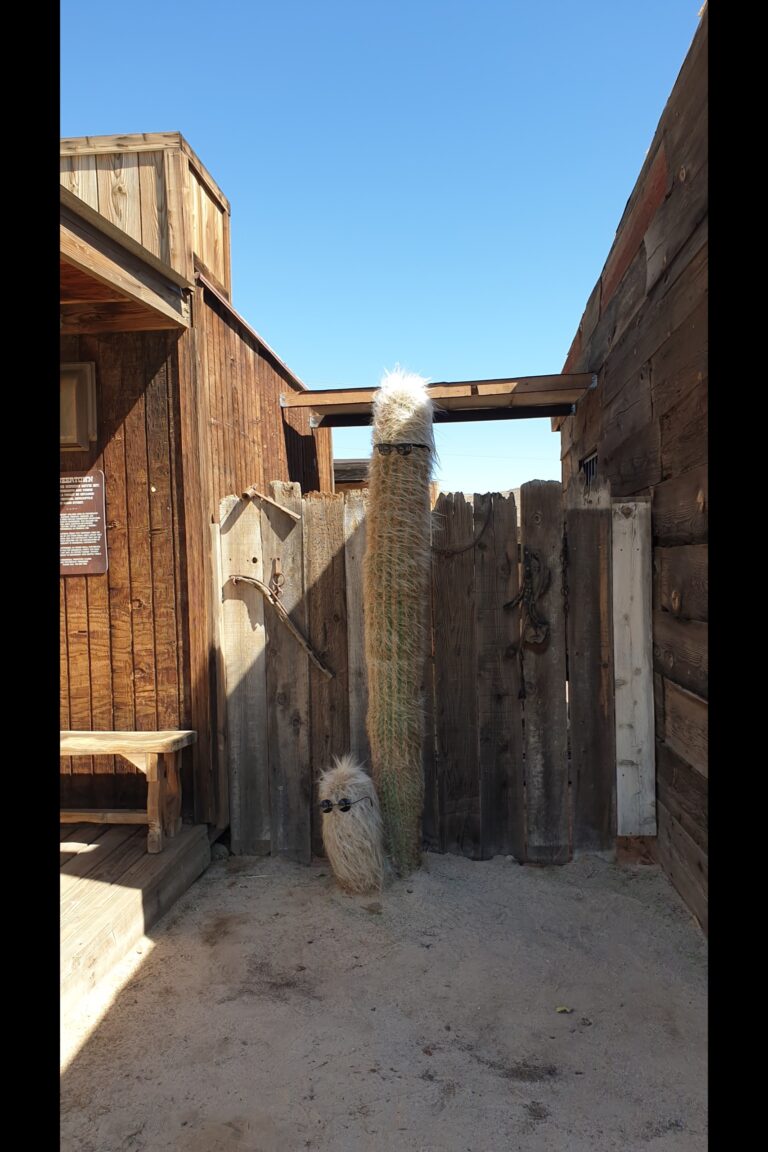 d_pioneertown_20230824_101802