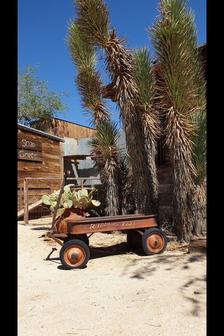 d_pioneertown_20230824_103045