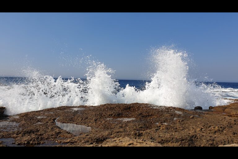d_pointlobos_20230830_103157