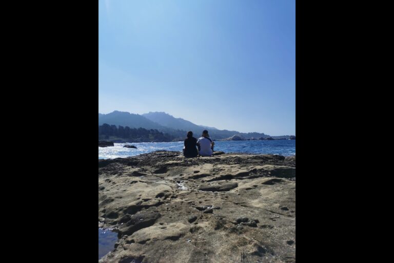 d_pointlobos_IMG-20230830-WA0049