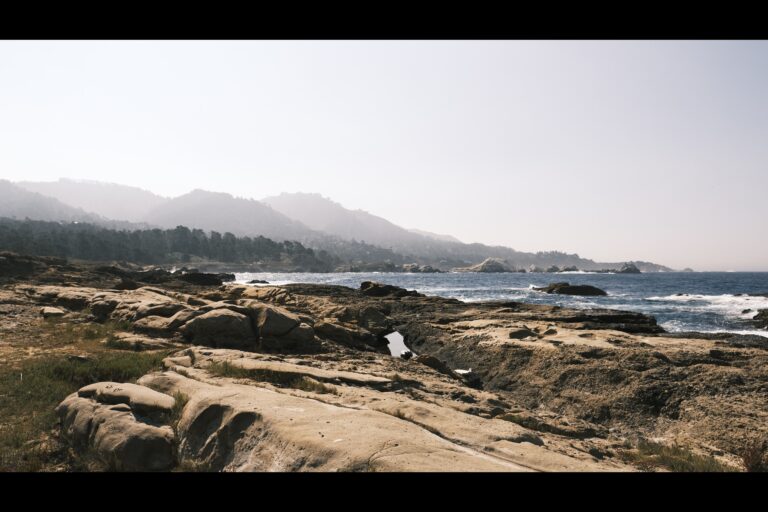 d_pointlobos__DSF5001