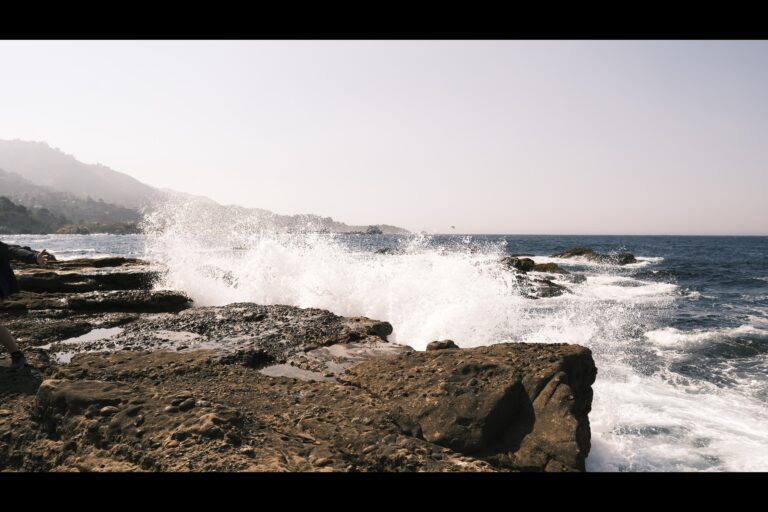 d_pointlobos__DSF5008