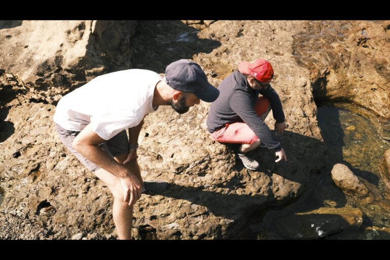 d_pointlobos__DSF5021