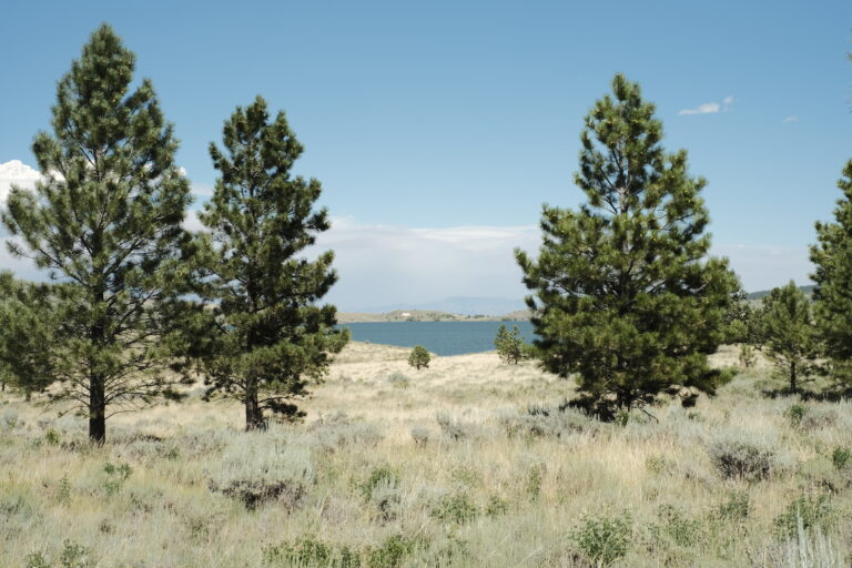 i_panguitch__DSF4447