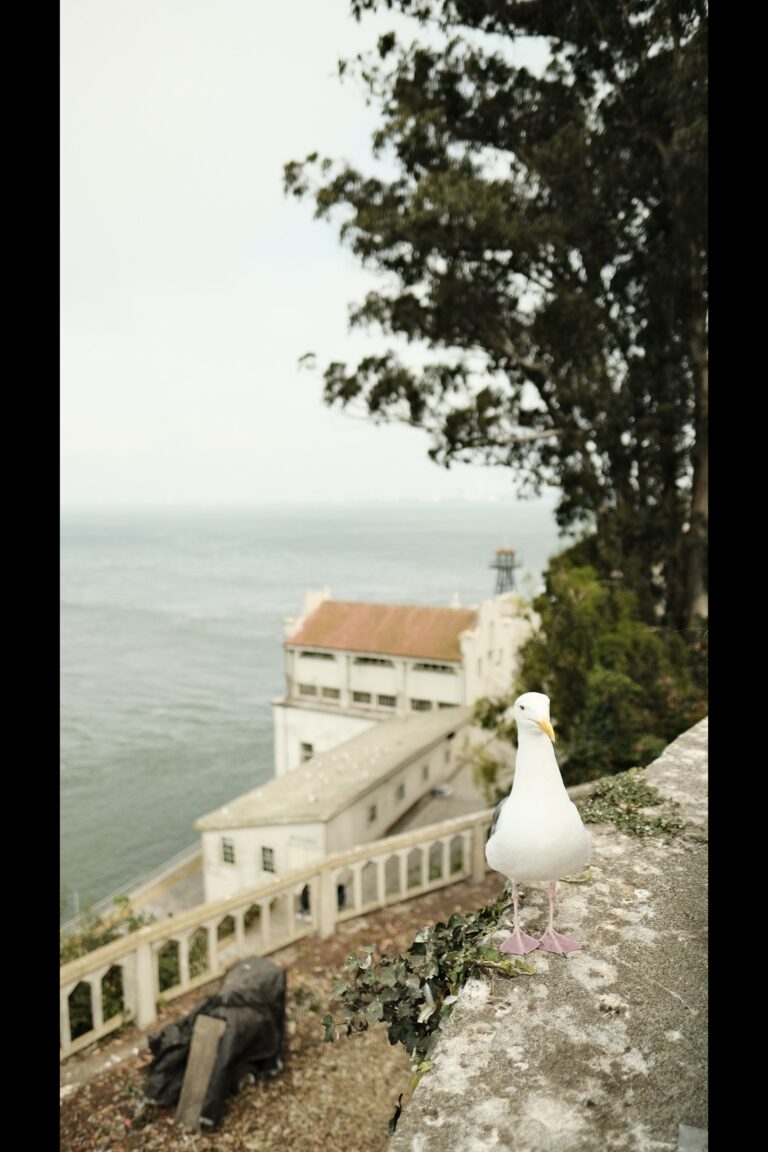 a_Alcatraz__DSF5089