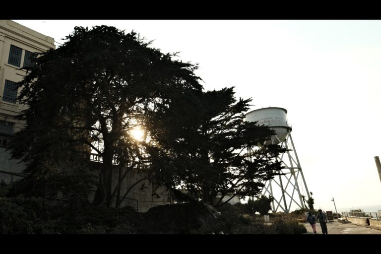 a_Alcatraz__DSF5133