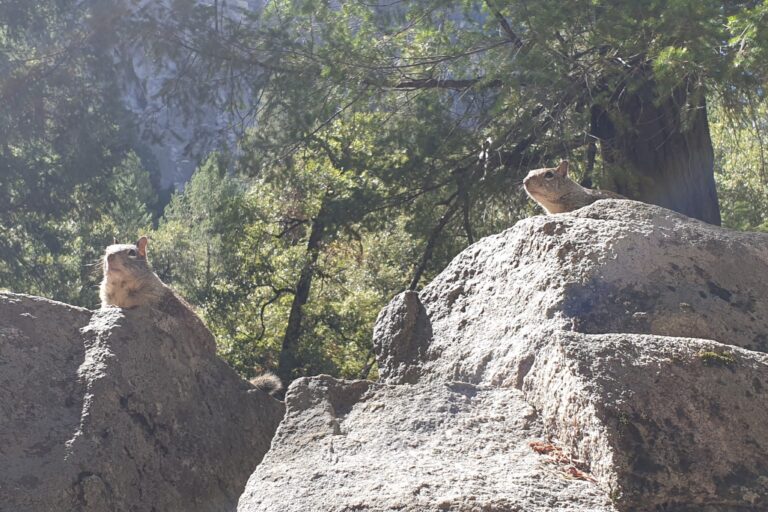 e_Yosemite_20230906_130427