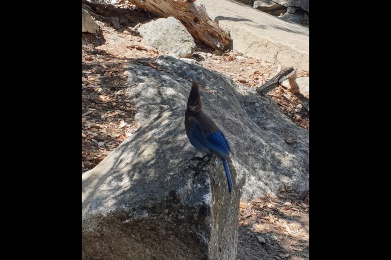 e_Yosemite_20230906_151915