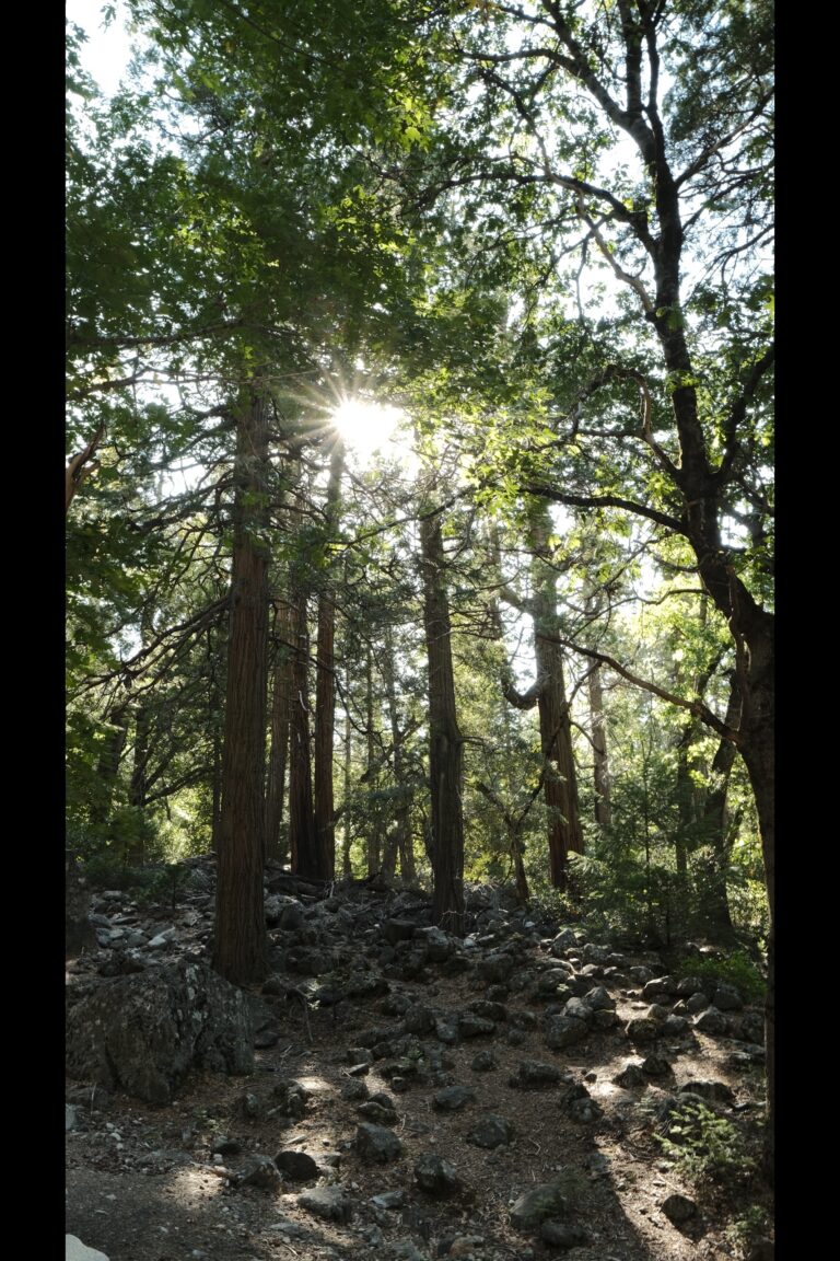e_Yosemite__DSF5413