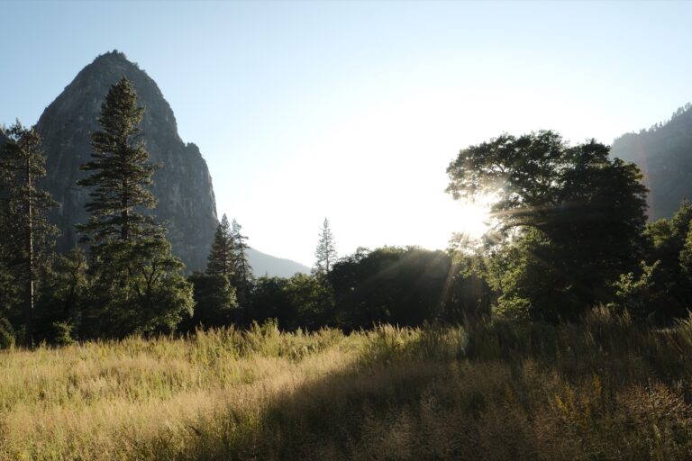 e_Yosemite__DSF5449