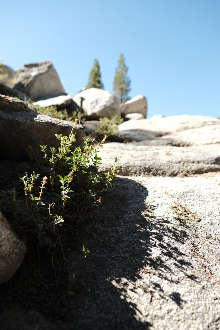 e_Yosemite__DSF5454