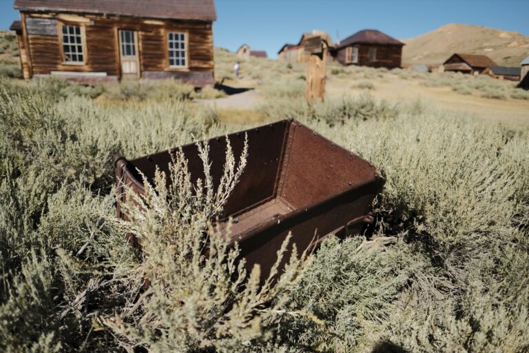 f_Bodie__DSF5473
