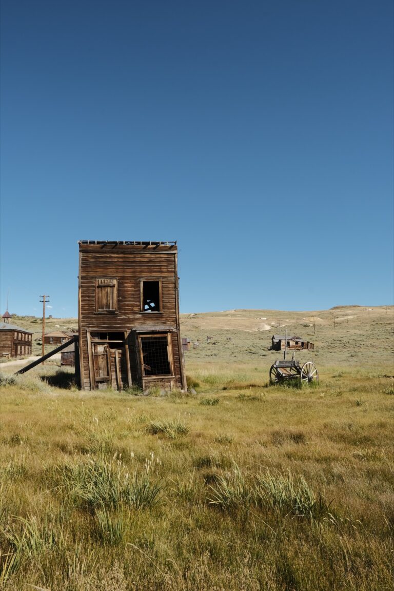 f_Bodie__DSF5478