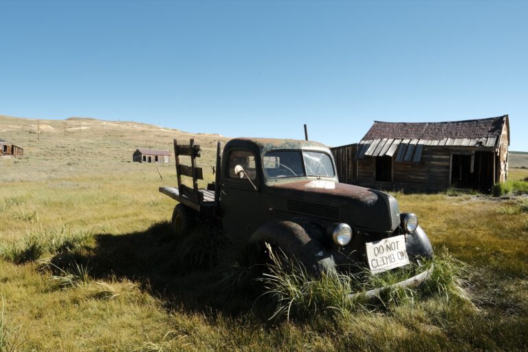 f_Bodie__DSF5481