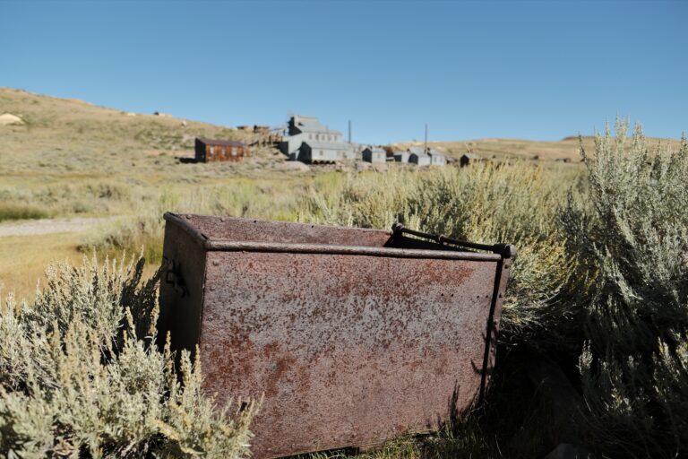 f_Bodie__DSF5498