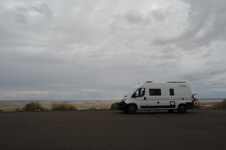 c_PetrifiedForrest__DSF5590