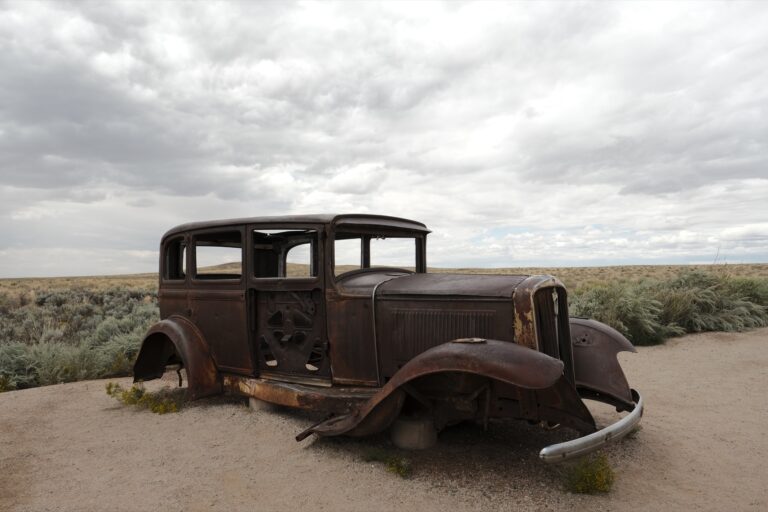 c_PetrifiedForrest__DSF5610