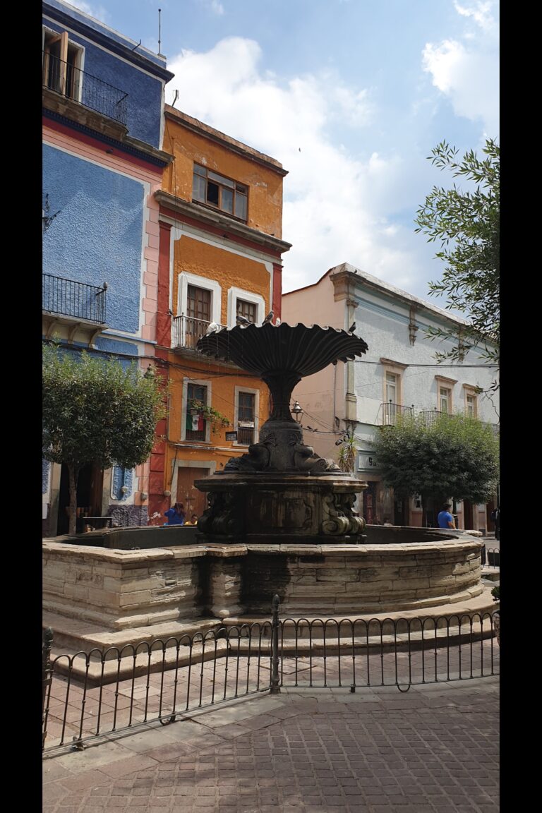 e_Guanajuato_20231005_134749