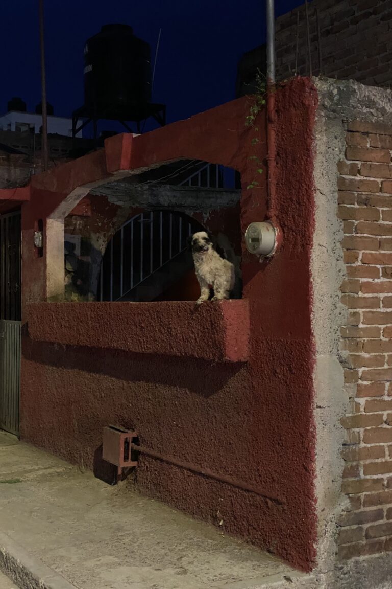 e_Guanajuato_IMG_6362