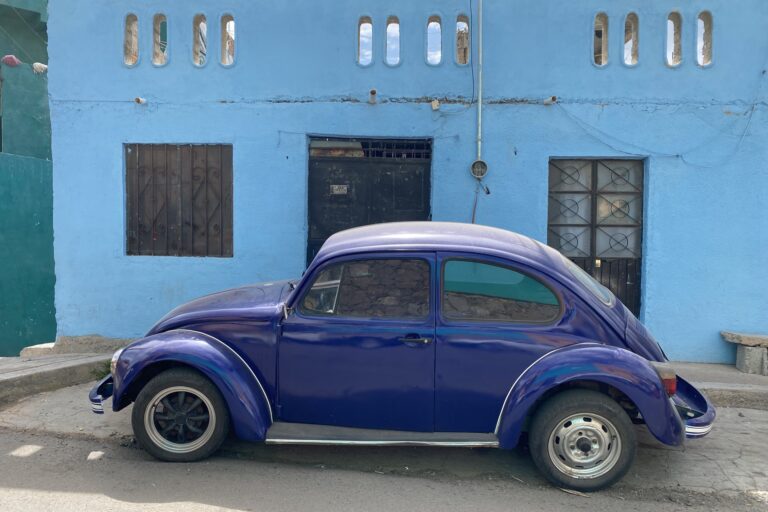 e_Guanajuato_IMG_6375