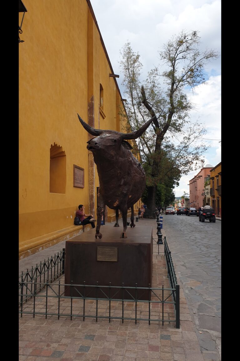 f_San_Miguel_de_Allende_20231005_160111