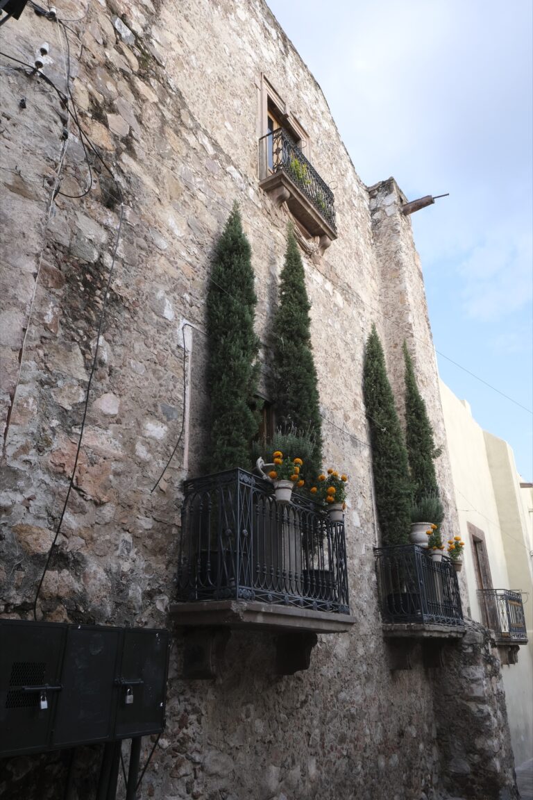 f_San_Miguel_de_Allende__DSF5818