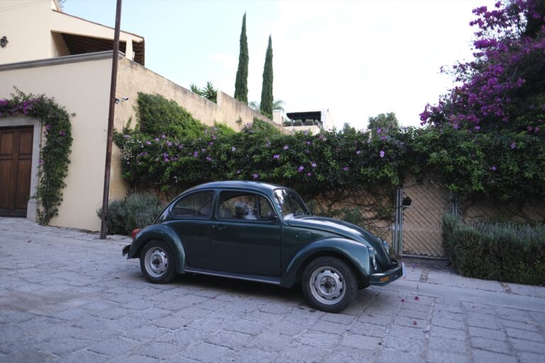 f_San_Miguel_de_Allende__DSF5828