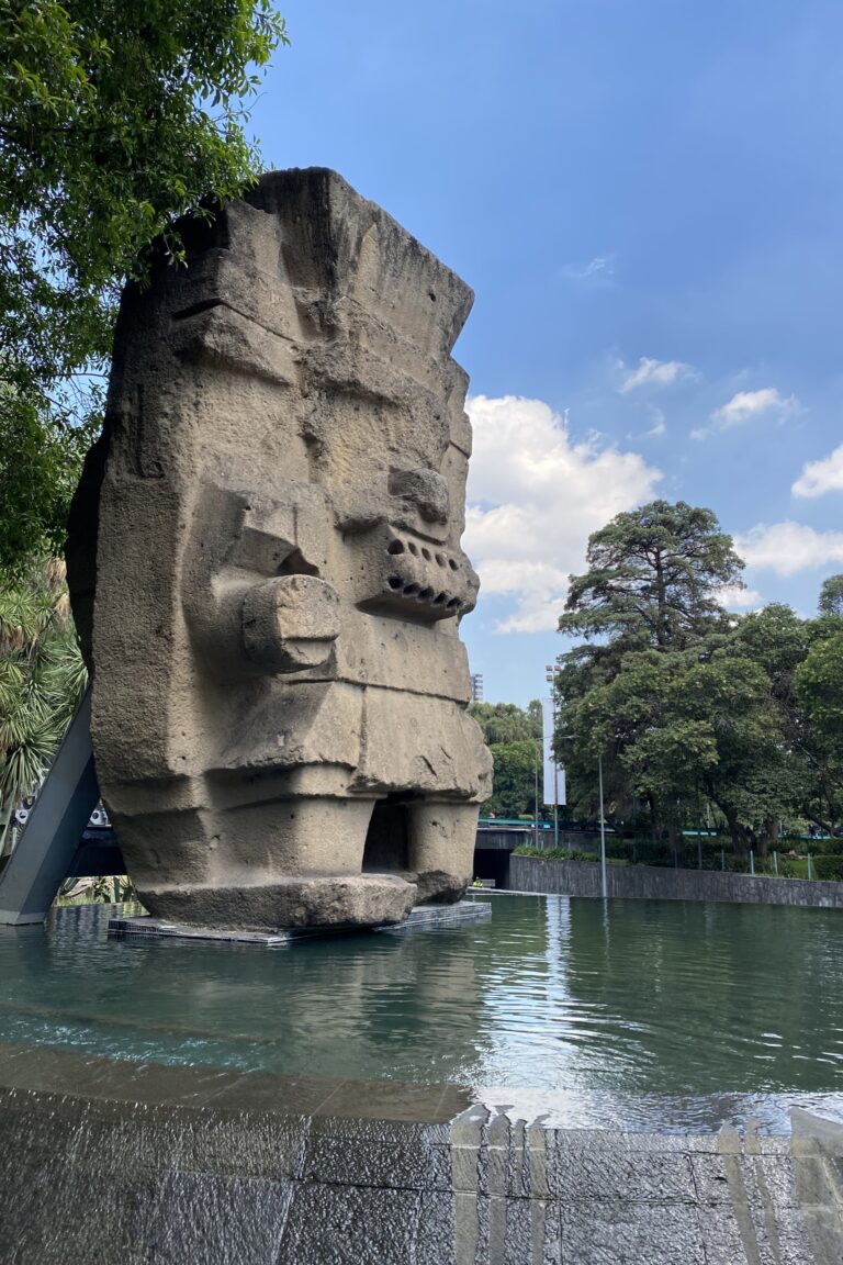 b_CDMX_IMG_6537