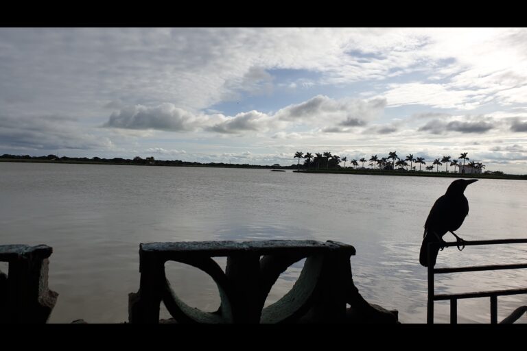 d_Tlacotalpan_20231018_160738
