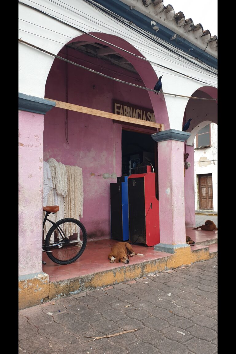 d_Tlacotalpan_20231018_165000